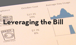 Leverage the Bill